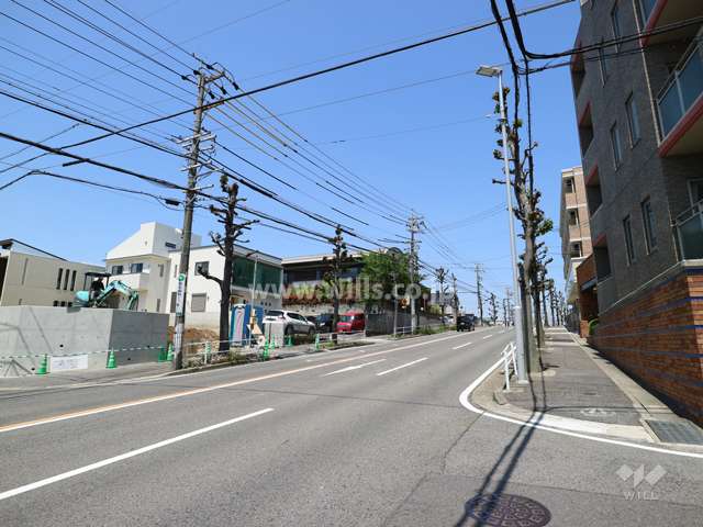 敷地の西側前面道路（南側から）