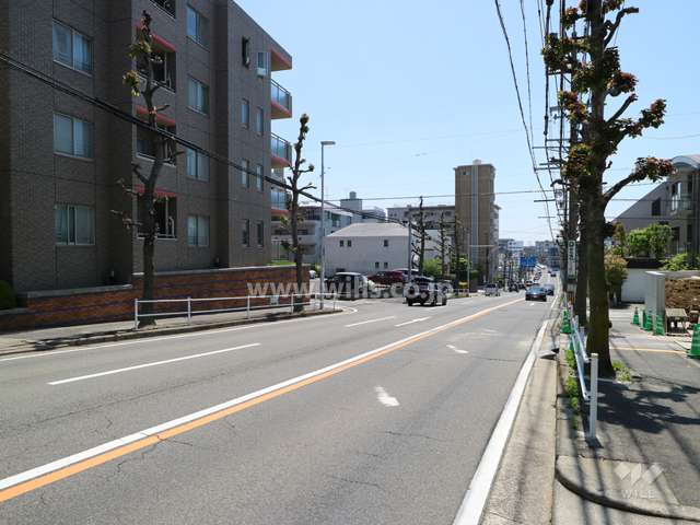 敷地の西側前面道路（北側から）
