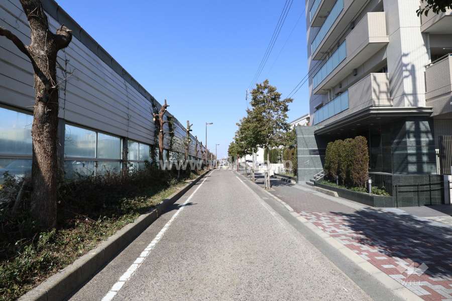 物件の西側前面道路（南側から）