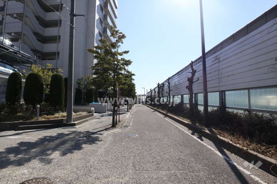 物件の西側前面道路（北側から）