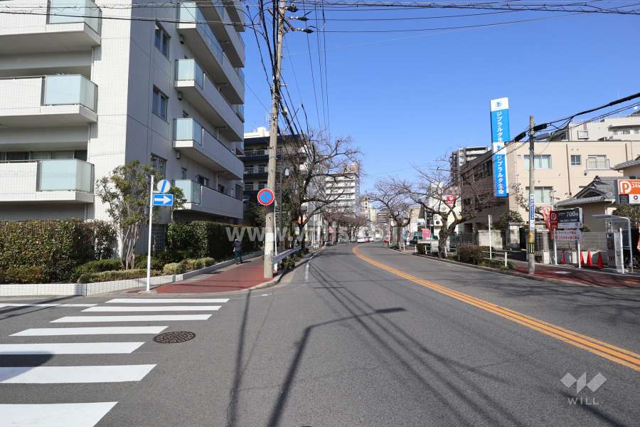 敷地東側の前面道路（南側から）