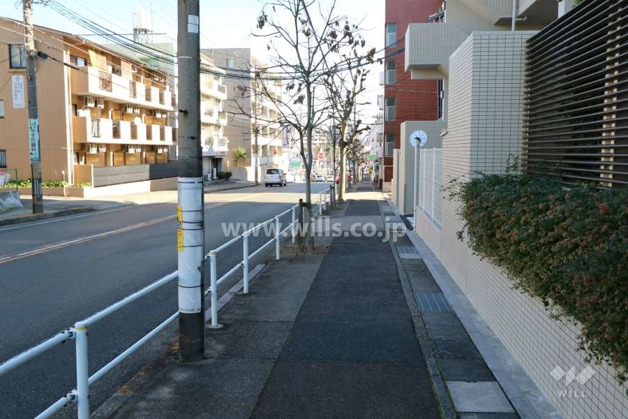 敷地北側前面道路