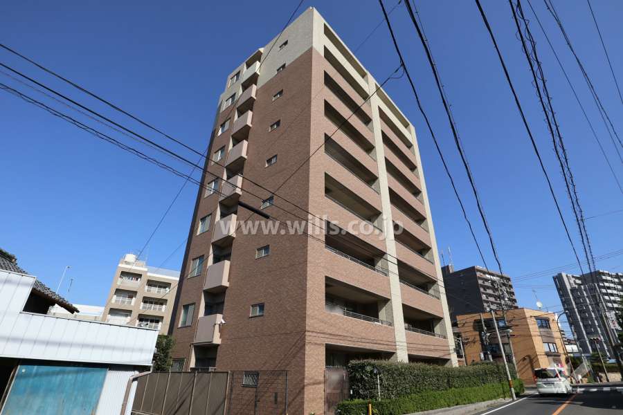 ヒルズ本郷の外観(南側から)