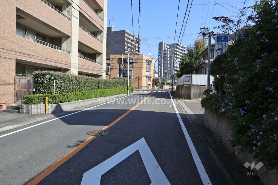 敷地北側の前面道路