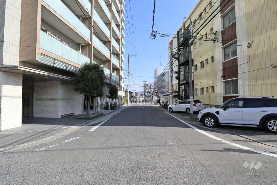 敷地南側の前面道路（西側から）