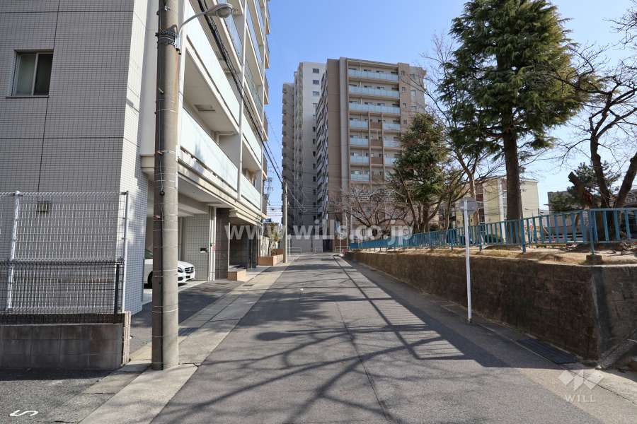 敷地南側の前面道路（西側から）