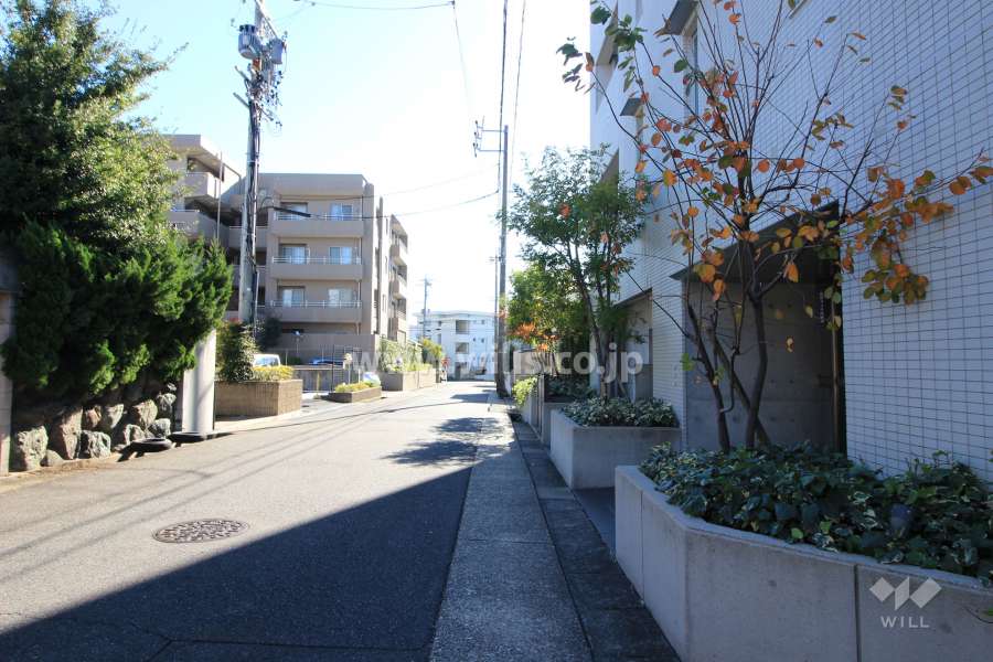 敷地東側の前面道路