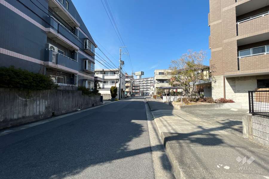 敷地南西側の前面道路