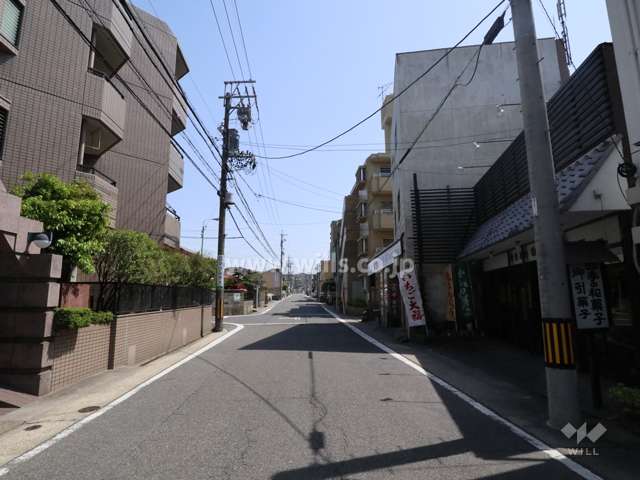 南西側前面道路（北西側から）