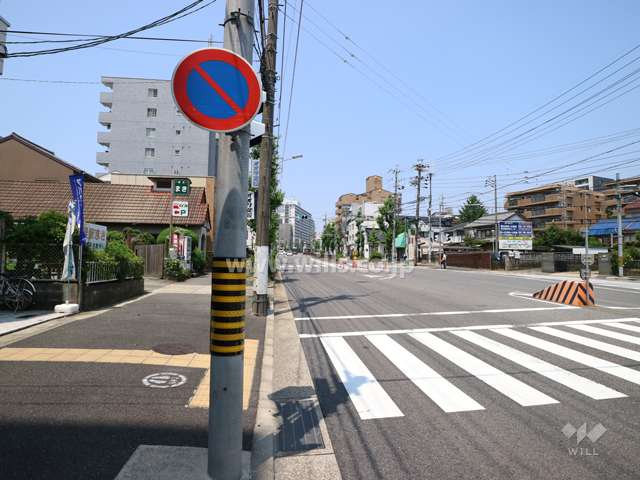 敷地の前面道路（東側から）