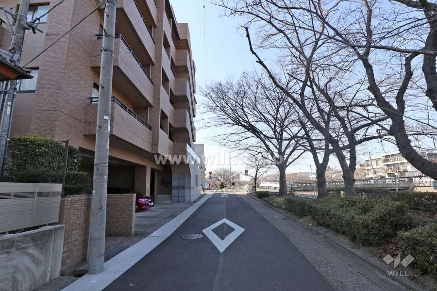 物件の北側前面道路（東側から）