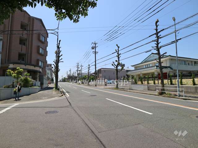 敷地の西側前面道路（北側から）