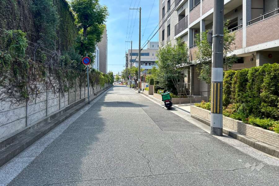 敷地東側の前面道路（北側から）