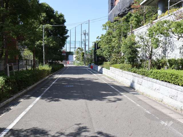 敷地南側の前面道路（東側から）