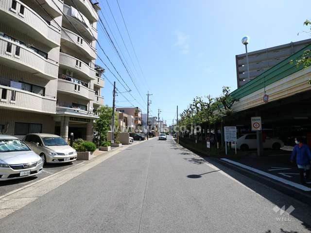 敷地の北側前面道路（西側から）