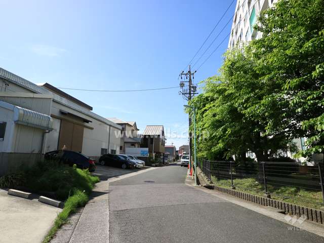 敷地の東側前面道路（北側から）