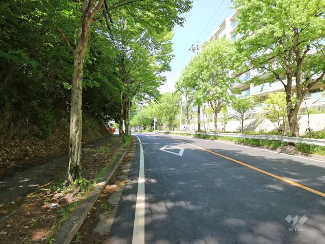 ヴィアーレ星ヶ丘の森の南側前面道路(東側から撮影)
