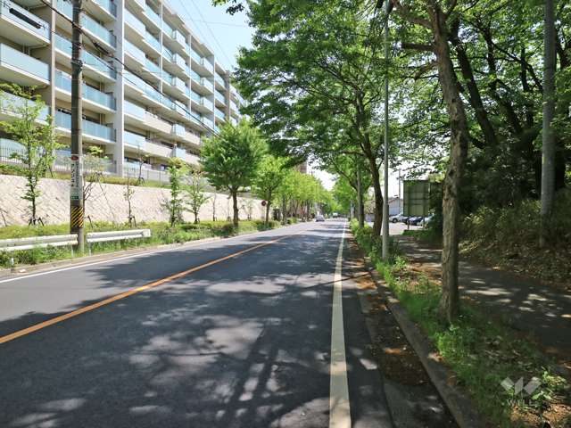 ヴィアーレ星ヶ丘の森の南側前面道路(西側から撮影)