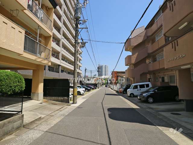 敷地の北側前面道路（西側から）