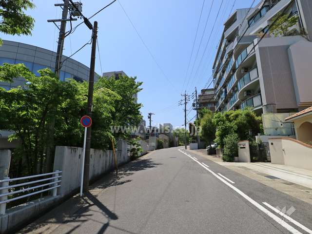 敷地の南東側前面道路（北東側から）