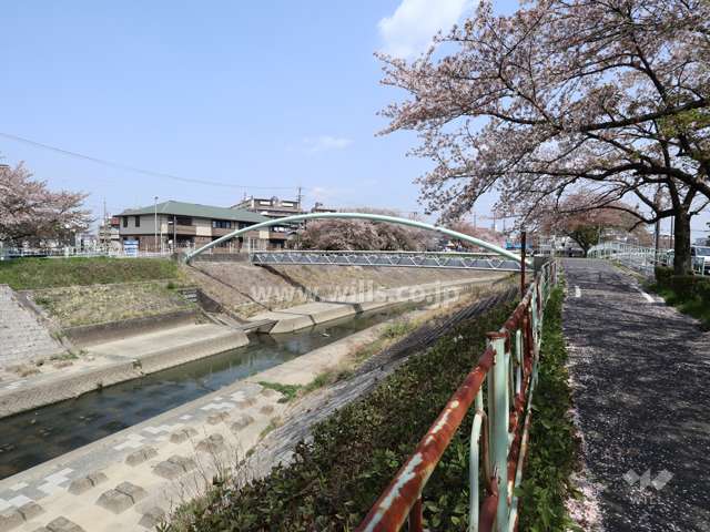 マンション敷地の北側には川が流れています。