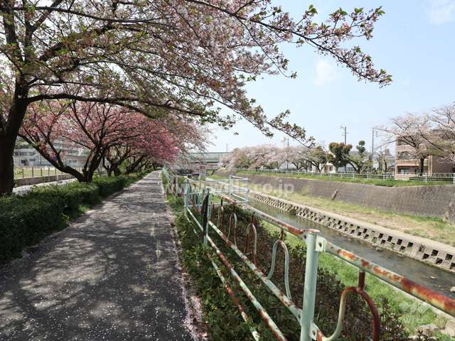 河川沿いの歩道
