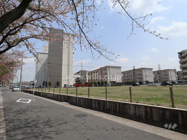 遠景(西側から撮影)
