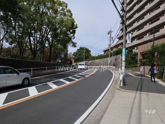 敷地の西側前面道路(南側から)