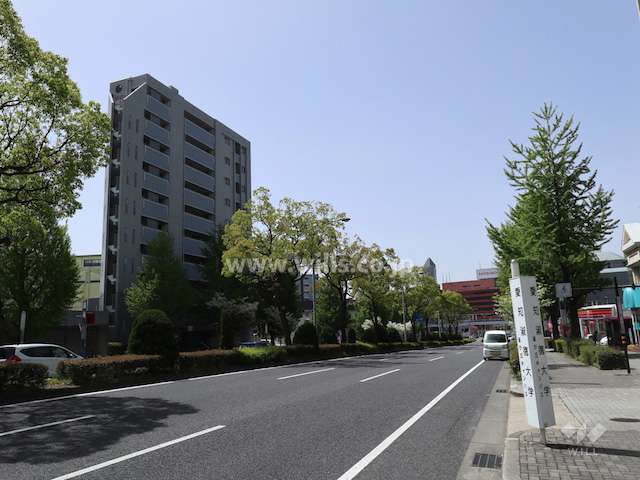 敷地北側の前面道路。バス通りです。