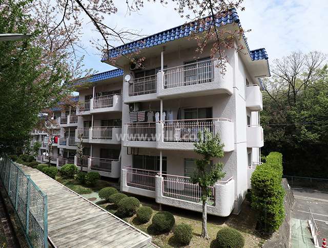 東山元町住宅3棟の外観（南西側から）