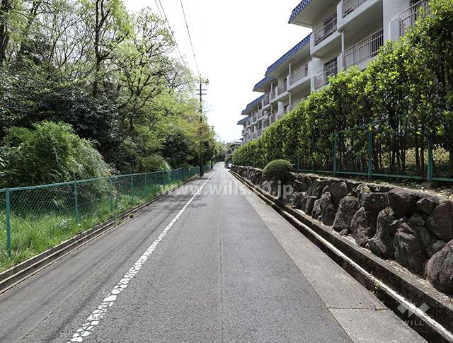 敷地東側の前面道路（北側から）