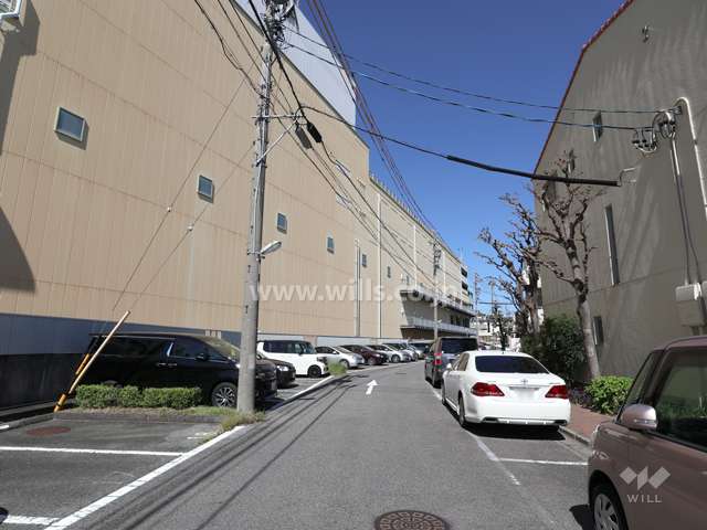 敷地の西側前面道路（南側から）