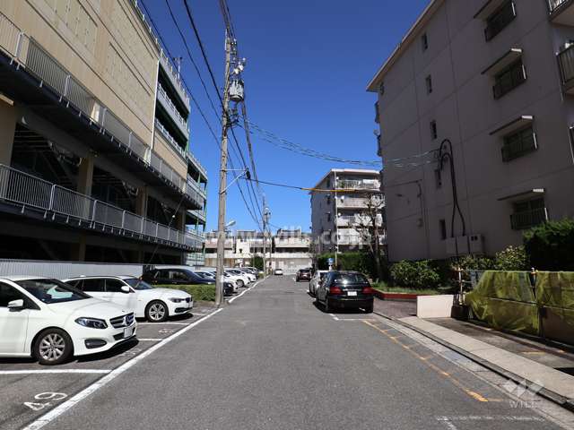 敷地の西側前面道路（南側から）