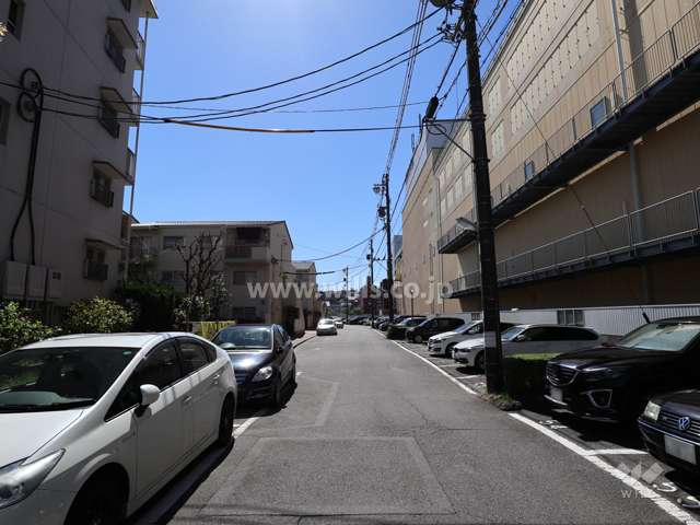 敷地の西側前面道路（北側から）