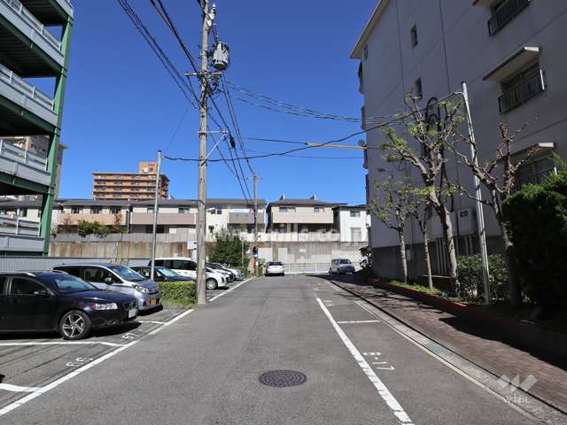 敷地の西側前面道路（南側から）