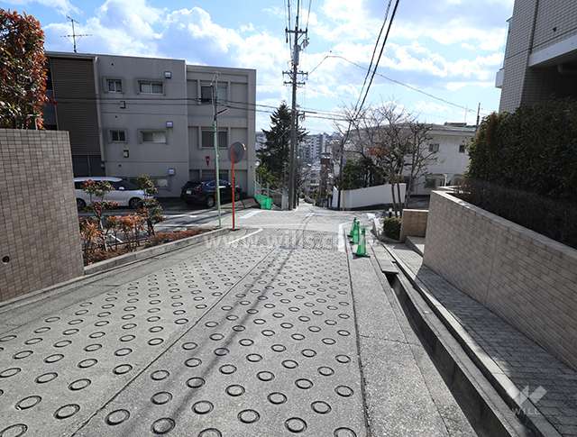 西側前面道路(北側から)