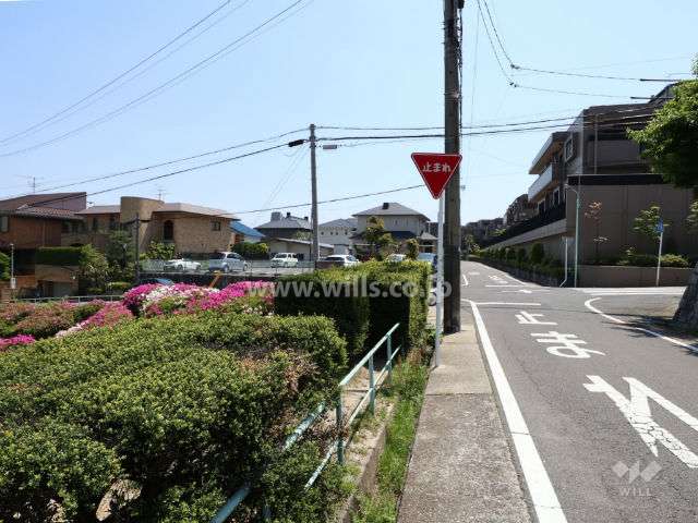 敷地に隣接する富士見公園