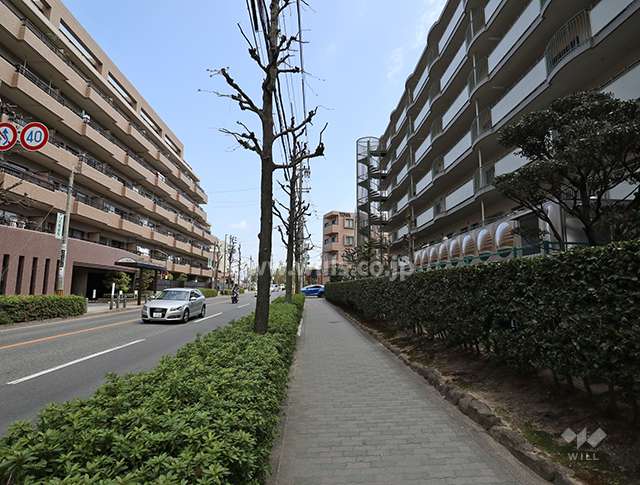 物件の北側前面道路（西側から）