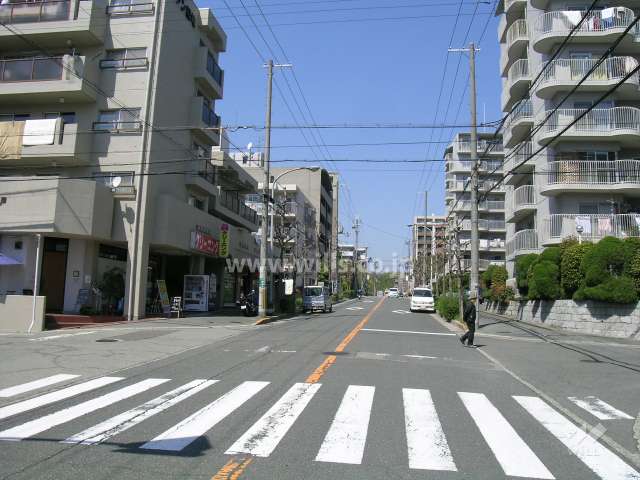 敷地西側の前面道路。周辺はマンションが多く立ち並ぶ区画の整った住宅地です。