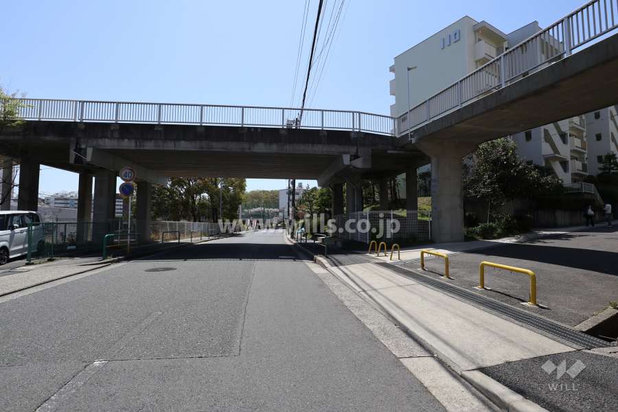 敷地の西側前面道路（北側から）