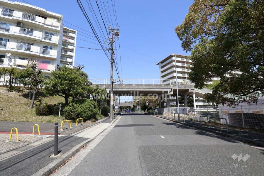 敷地の西側前面道路（南側から）