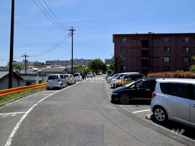 敷地の東側前面道路（北側から）