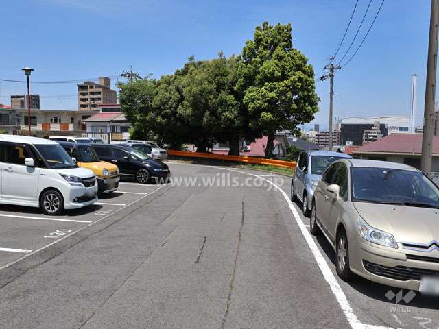 敷地の東側前面道路（南側から）