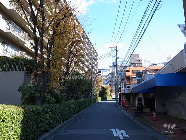 敷地南側の前面道路