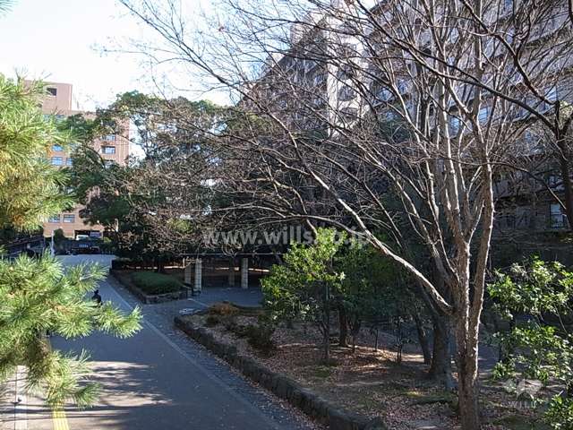 敷地北側の緑道は、北大阪急行「緑地公園」駅と服部緑地を結んでいます。
