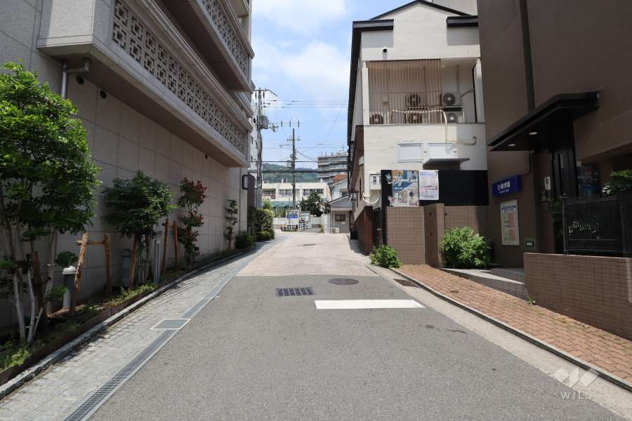 敷地東側の前面道路（南側から）