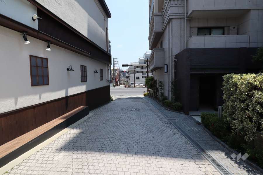 敷地東側の前面道路（北側から）