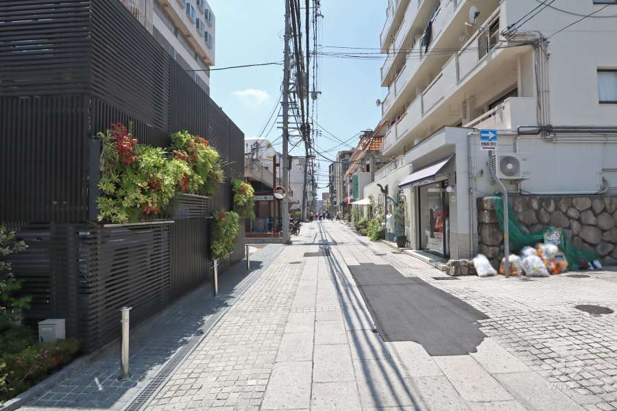 敷地北側の前面道路（西側から）