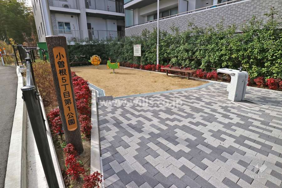 敷地に隣接する公園