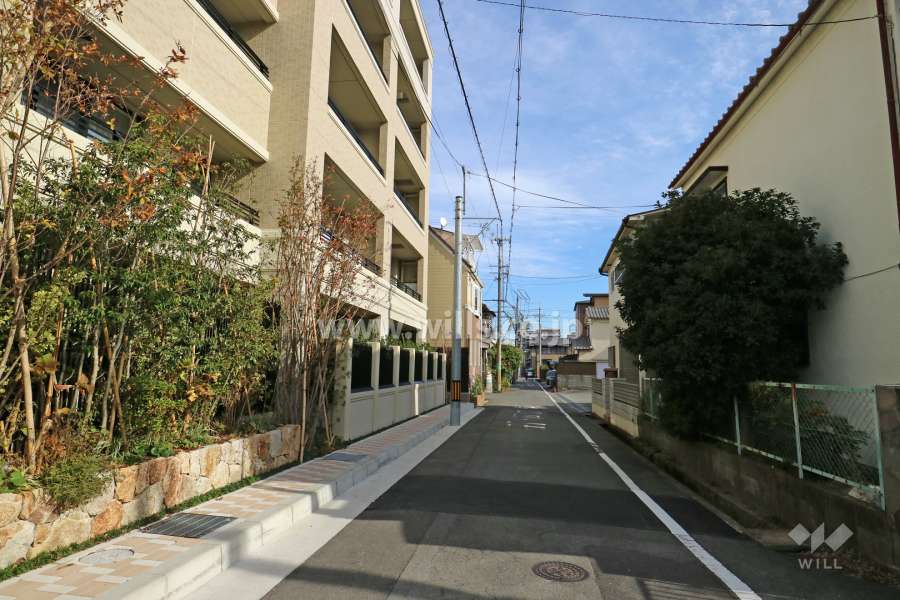 敷地南側の前面道路